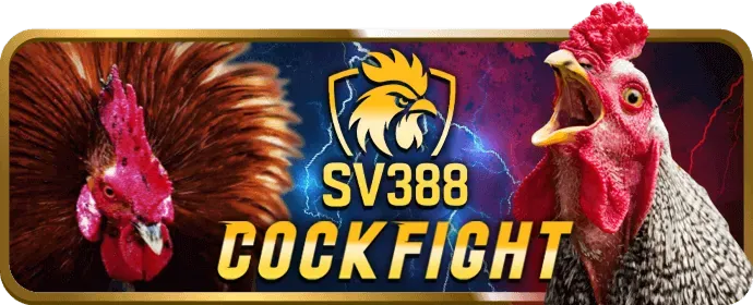 Tham gia chương trình VIP 13wim nhà cái